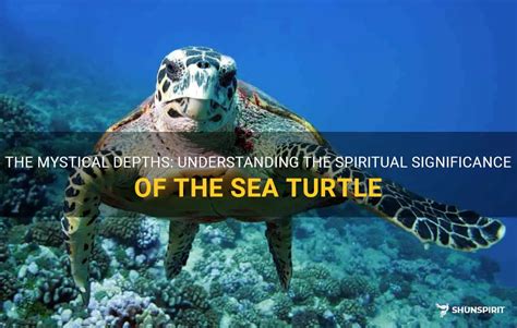 Unraveling the Spiritual and Mystical Significance of Turtles in Aquatic Visons