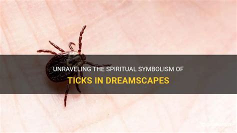 Unraveling the Symbolic Meaning of Dermal Manifestation in Dreamscapes