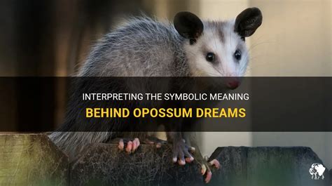 Unraveling the Symbolic Meaning of Opossum Dreams