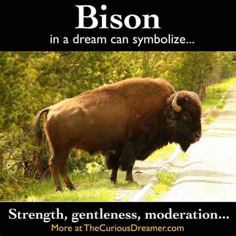 Unraveling the Symbolic Significance of Dreaming About Transforming into a Bison