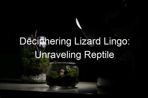 Unraveling the Symbolism: Deciphering the Significance of a Reptile in Enclosed Spaces