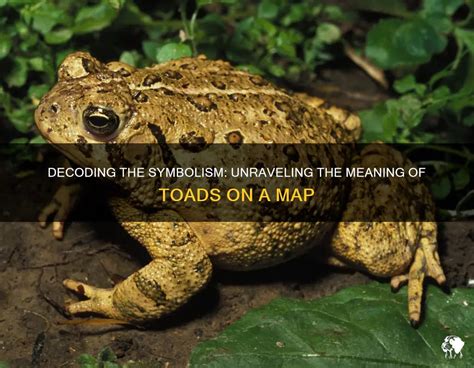 Unraveling the Symbolism of the Scarlet Toad in Diverse Cultures