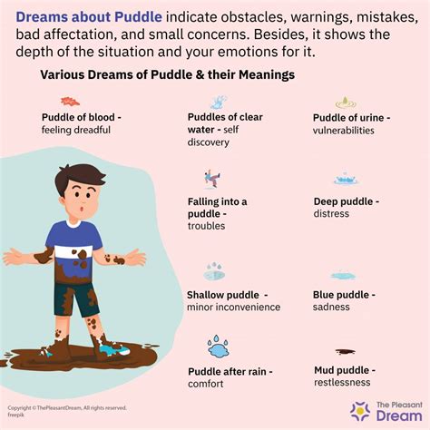 Unraveling the Various Significances and Communication of Puddle Dreams