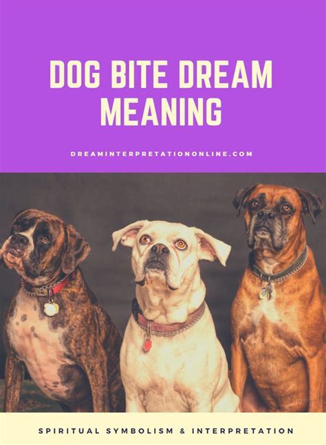 Unraveling the symbolism behind a canine bite within the realm of dreams