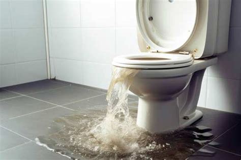 Unresolved Issues: How Dreams of Overflowing Toilet Water Reflect Inner Turmoil