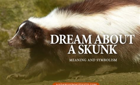 Unusual Dream Symbol: Skunk Spray