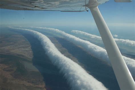 Unusual Weather Events that Can Trigger a Cascade of Insects Descending on Earth