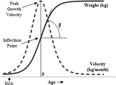 Unveiling Adaire E Aire's Age, Height, and Figure