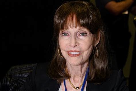 Unveiling Barbara Feldon's Height and Figure