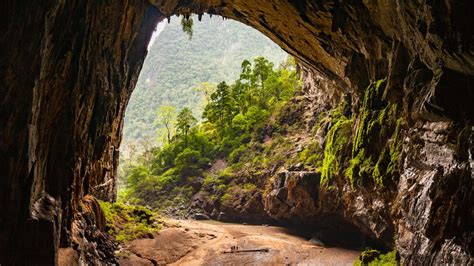 Unveiling Nature's Treasures: Discovering the Marvels Found During Ebb and Flow