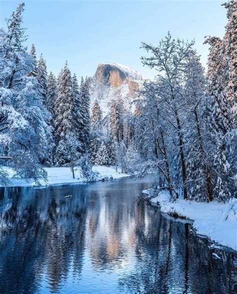 Unveiling Nature's Whimsical Wonderland: Winter's Enchantment