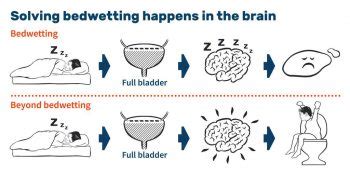 Unveiling Potential Triggers for Adult Enuresis Fantasies