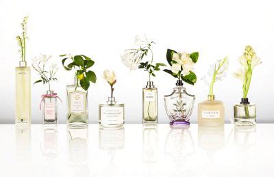 Unveiling the Artistry of Perfumery