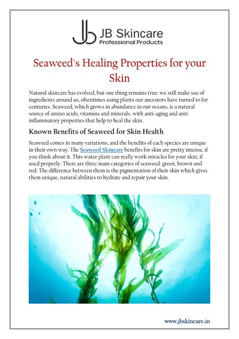 Unveiling the Beauty Beyond the Shore: Seaweed's Contributions to Skincare