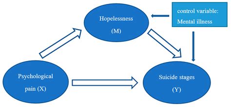 Unveiling the Complexity: Exploring the Factors Behind Suicidal Ideation