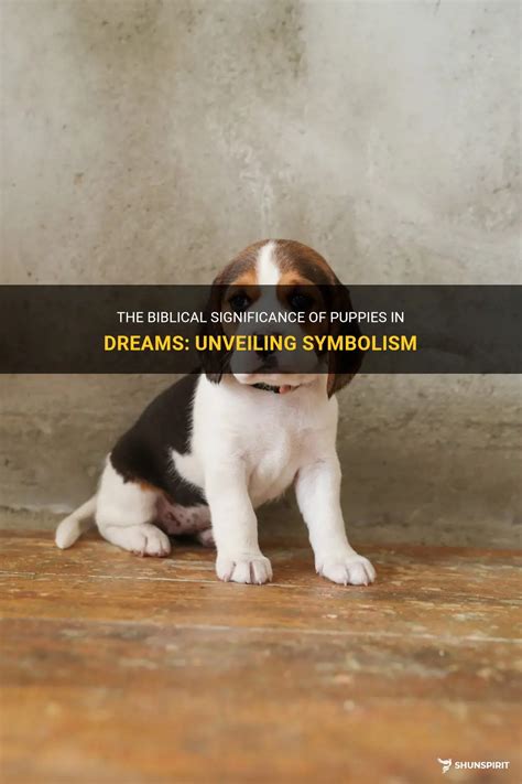 Unveiling the Connection between Puppies and Water in Dreams