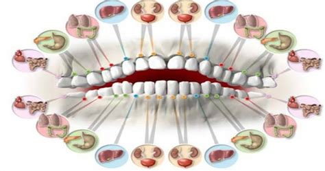 Unveiling the Connections: Can Dreams of Dental Discomfort Predict Real-Life Oral Troubles?