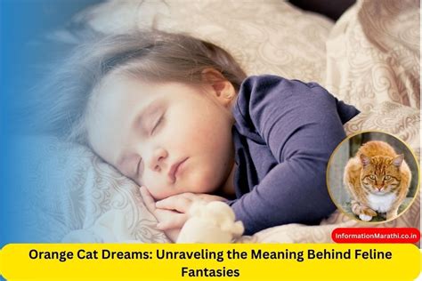 Unveiling the Cosmos: Unraveling the Significance Behind Dreams Featuring a Misplaced Feline