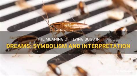 Unveiling the Cultural Significance of Golden Insect in the Interpretation of Dreams