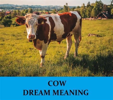 Unveiling the Deeper Meanings of Cow Offerings in Dreams