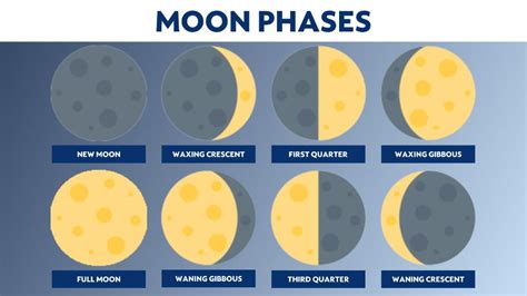 Unveiling the Different Phases of Waxing Dreams