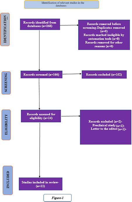 Unveiling the Enigma: Examining the Language Proficiency of Infants in Dreams