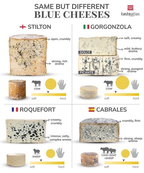 Unveiling the Enigma of Blue Cheeses