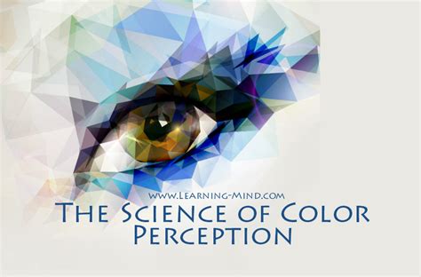 Unveiling the Enigma of Color Perception: From Rose to Azure