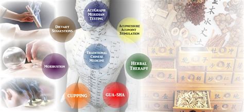 Unveiling the Enigma of Traditional Chinese Medicine: A Holistic Approach to Healing