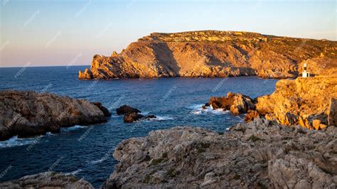 Unveiling the Enigma of a Rocky Coast: Exploring the Enchanting Realm of its Ecological Diversity