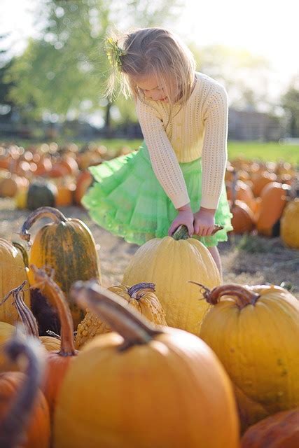 Unveiling the Enigmas of Pumpkin Fantasies