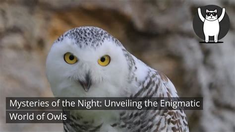 Unveiling the Enigmatic Connections Between Owls and the Element of Water