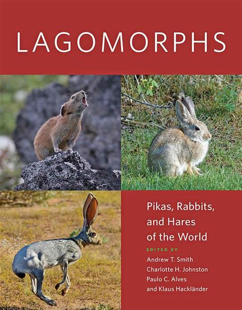 Unveiling the Folklore Surrounding Lagomorphs as Dream Messengers