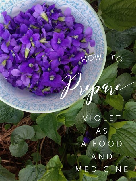 Unveiling the Healing Properties of Violet in Complementary Medicine