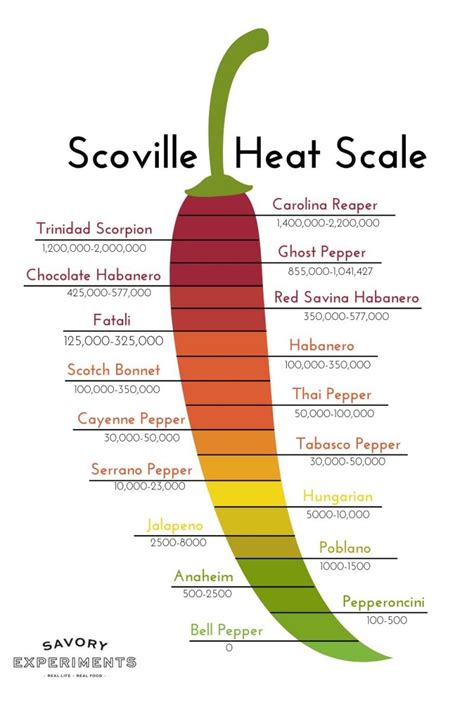 Unveiling the Heat: Chemical Composition and Scoville Scale