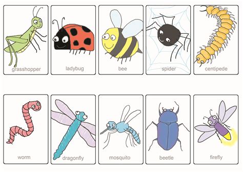 Unveiling the Hidden Meanings: Exploring Different Types of Multiplying Insects