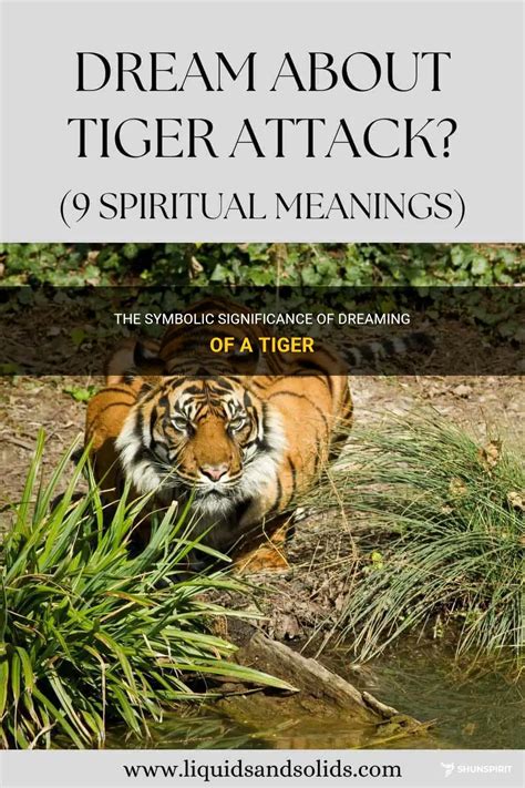 Unveiling the Hidden Message: Exploring the Symbolism Behind Dreaming of a Tiger's Demise