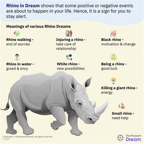 Unveiling the Hidden Messages Behind a Pursuit of the Rhino Dream