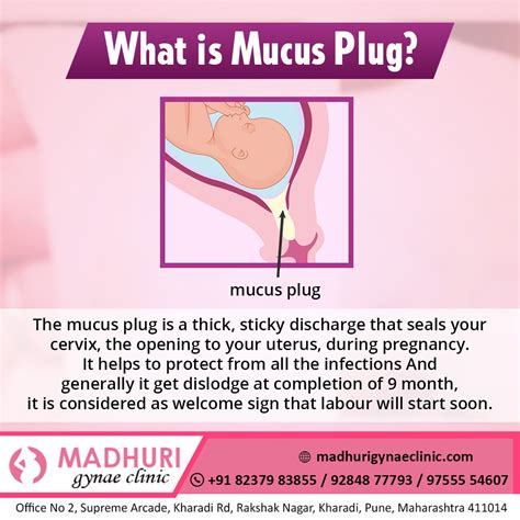 Unveiling the Importance of Mucus Plug during Pregnancy