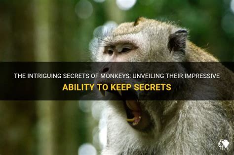 Unveiling the Intriguing Creature: Monkey Dog