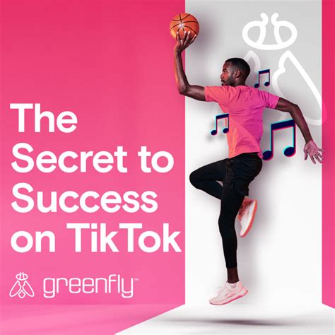 Unveiling the Journey to Success on TikTok