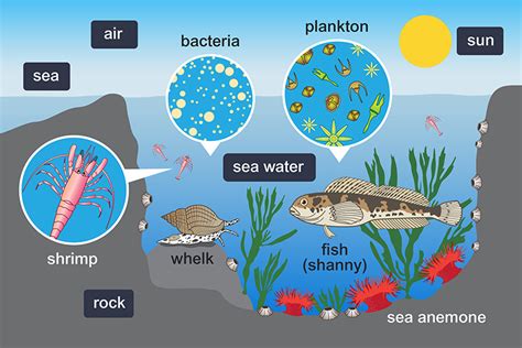 Unveiling the Link Between Aquatic Environments and the Human Psyche