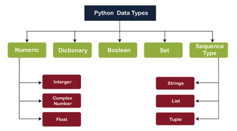 Unveiling the Meaning Behind the Python's Significance in Reveries