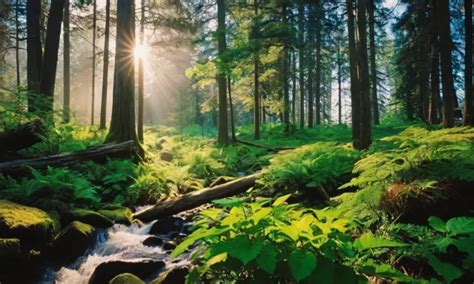 Unveiling the Meaning behind Enigmatic Forests Emerged in Aquatic Slumber