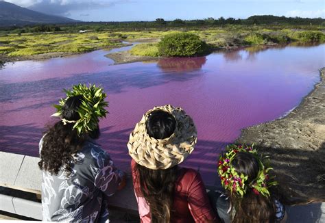 Unveiling the Mysteries of the Pink Water Phenomenon