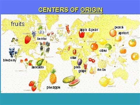 Unveiling the Mystery: The Fascinating Origins of Pale Fruit
