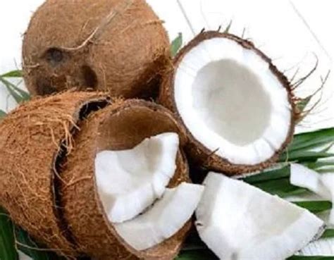 Unveiling the Mystery Behind Water Coconut Dreams