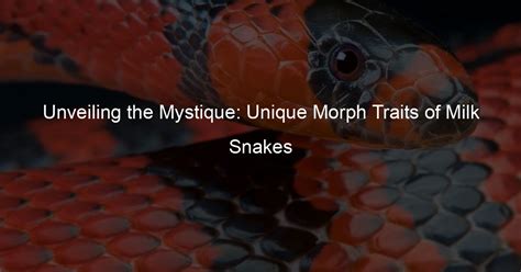 Unveiling the Mystique: Unusual Traits and Behaviors of Extraordinary Reptiles