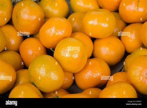 Unveiling the Origins and Historical Journey of Citrus reticulata Mandarin Oranges