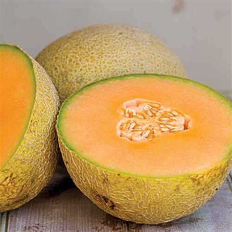 Unveiling the Physical Appearance of Candy Cantaloupes: Height and Figure